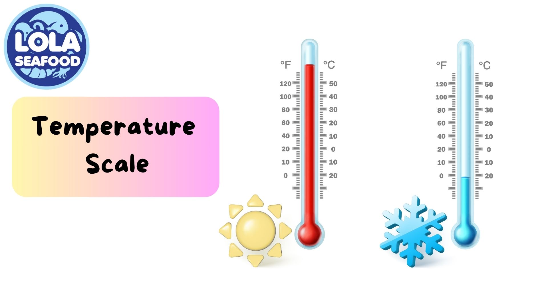 Temperature Scale